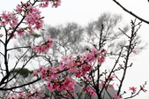 Enlarge photo 57