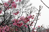 Enlarge photo 56