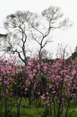 Enlarge photo 54