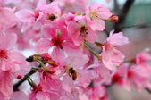 Enlarge photo 47