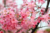 Enlarge photo 46