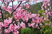 Enlarge photo 44