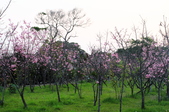 Enlarge photo 40
