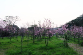 Enlarge photo 39