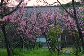 Enlarge photo 38