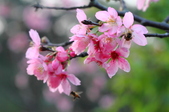Enlarge photo 35