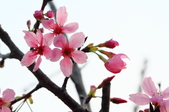 Enlarge photo 36