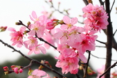Enlarge photo 34