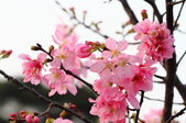 Enlarge photo 33