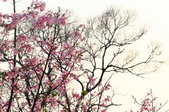 20150317 御和園