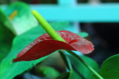 Enlarge photo 173