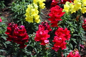 Enlarge photo 172