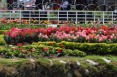 Enlarge photo 170