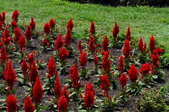 Enlarge photo 169