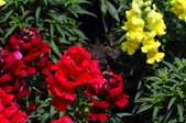 Enlarge photo 166