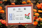 Enlarge photo 158