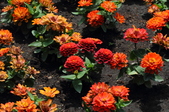 Enlarge photo 156