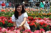 Enlarge photo 155