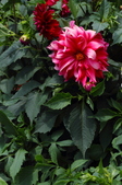 Enlarge photo 153