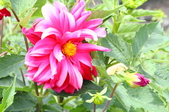 Enlarge photo 151