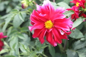 Enlarge photo 152