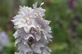 Enlarge photo 147