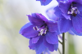 Enlarge photo 143