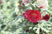 Enlarge photo 140