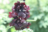 Enlarge photo 134