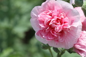 Enlarge photo 133