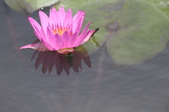 Enlarge photo 124
