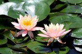 Enlarge photo 118