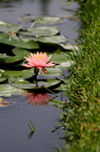 Enlarge photo 115