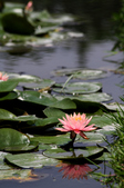 Enlarge photo 114