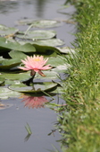 Enlarge photo 113
