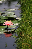 Enlarge photo 112