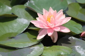 Enlarge photo 108