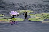 Enlarge photo 106