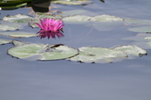 Enlarge photo 105