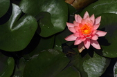 Enlarge photo 97