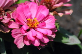 Enlarge photo 89