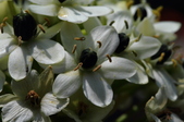 Enlarge photo 75