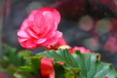 Enlarge photo 58