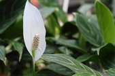 Enlarge photo 56