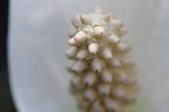Enlarge photo 53