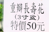 Enlarge photo 49