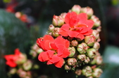 Enlarge photo 47