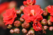 Enlarge photo 46
