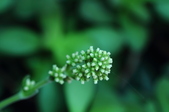 Enlarge photo 43