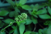 Enlarge photo 41